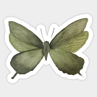 Watercolor Butterfly Sticker